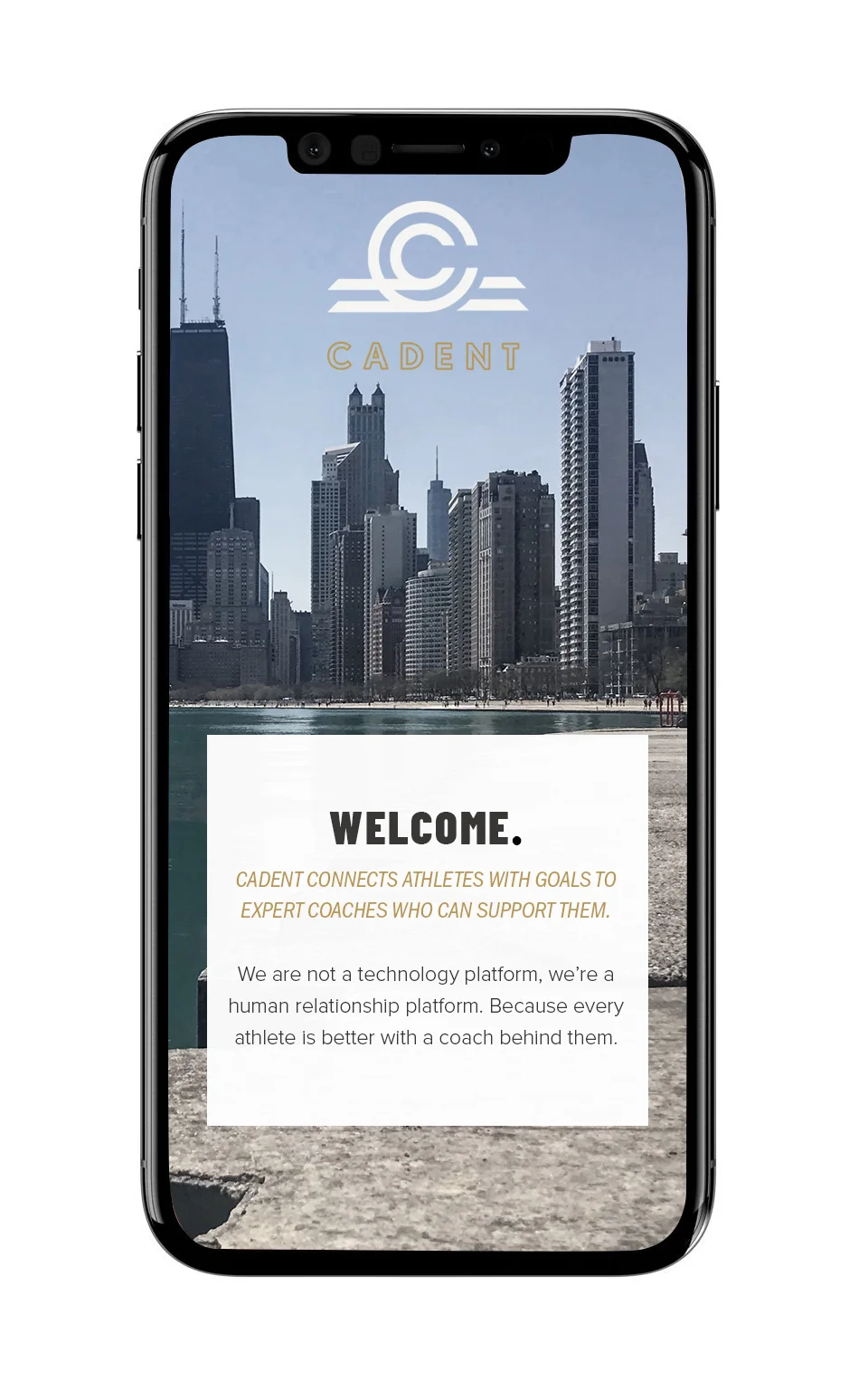 phone1.jpg