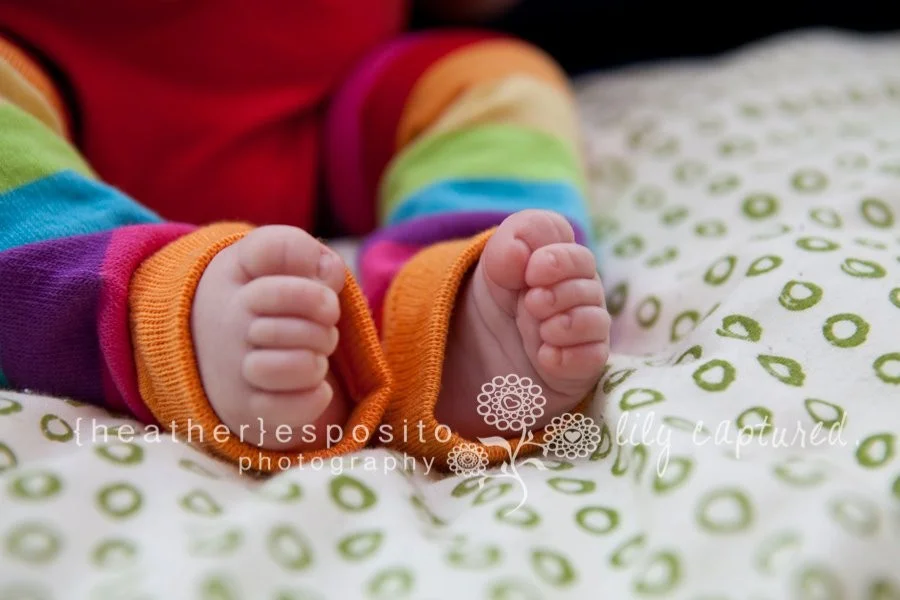 
Classes!!!  Intro to DSLR  - Sign up here :)  |  Binghamton Photography Classes  