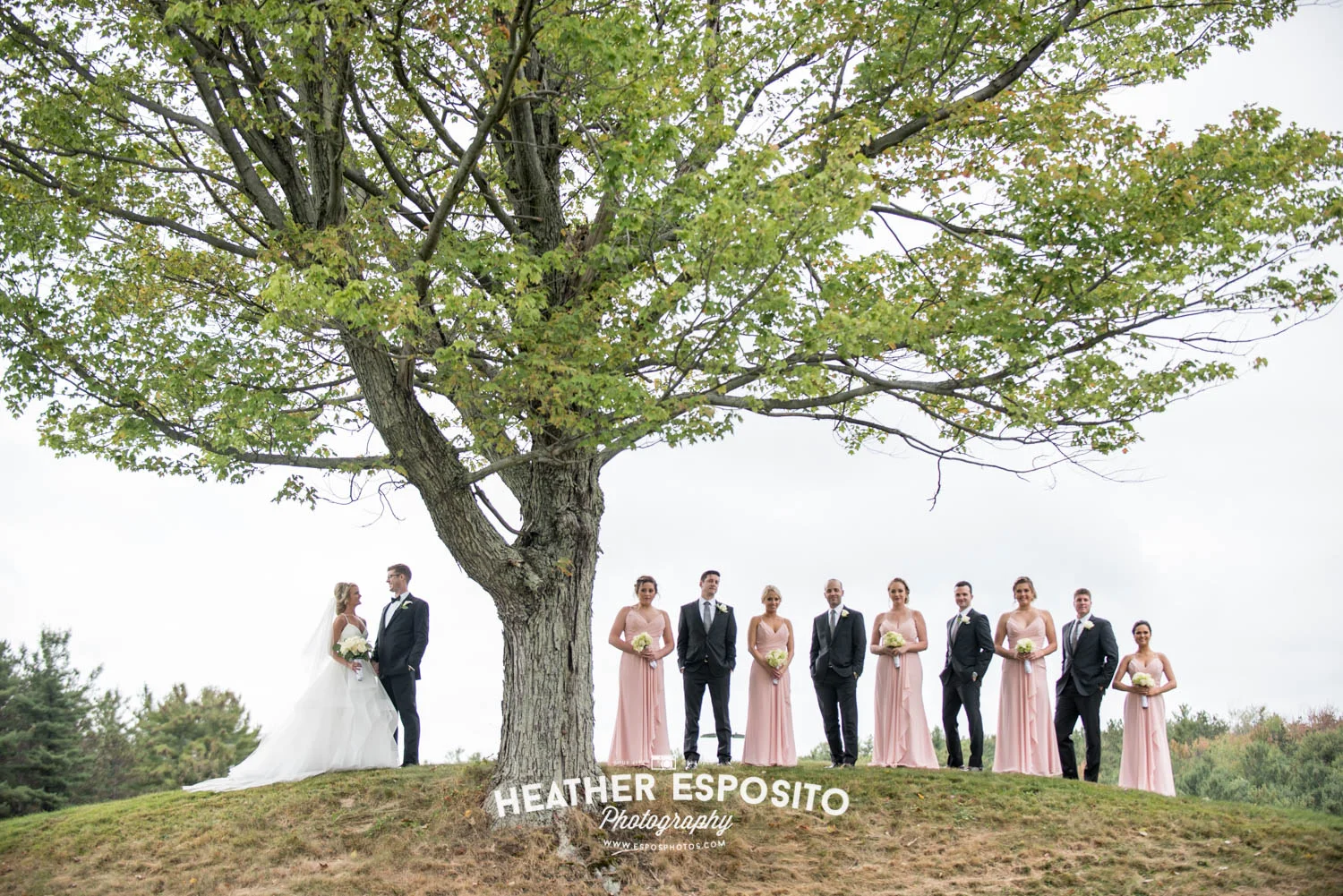 
Dr. & Mrs. Lorraine's Traditions Wedding | Binghamton Wedding Photographer  