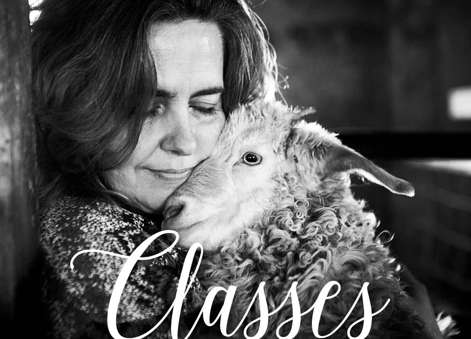 
Classes! | Binghamton Photography Classes  