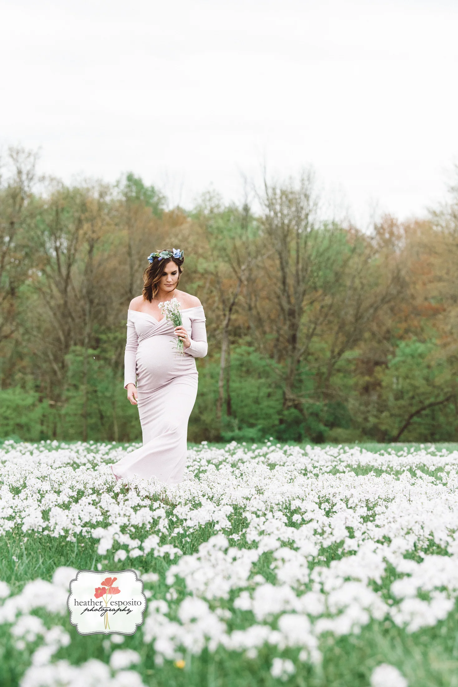Lavender Fields | Binghamton Maternity Photographer