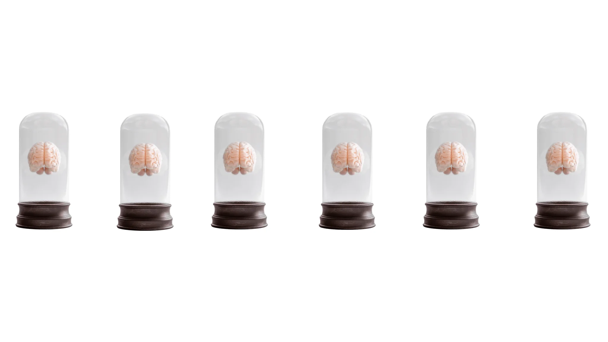 HumanBrainFloatinginaBellJar3dillustration.jpg