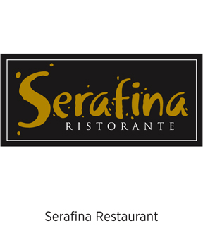 dg-web-branding-Serafina1.jpg