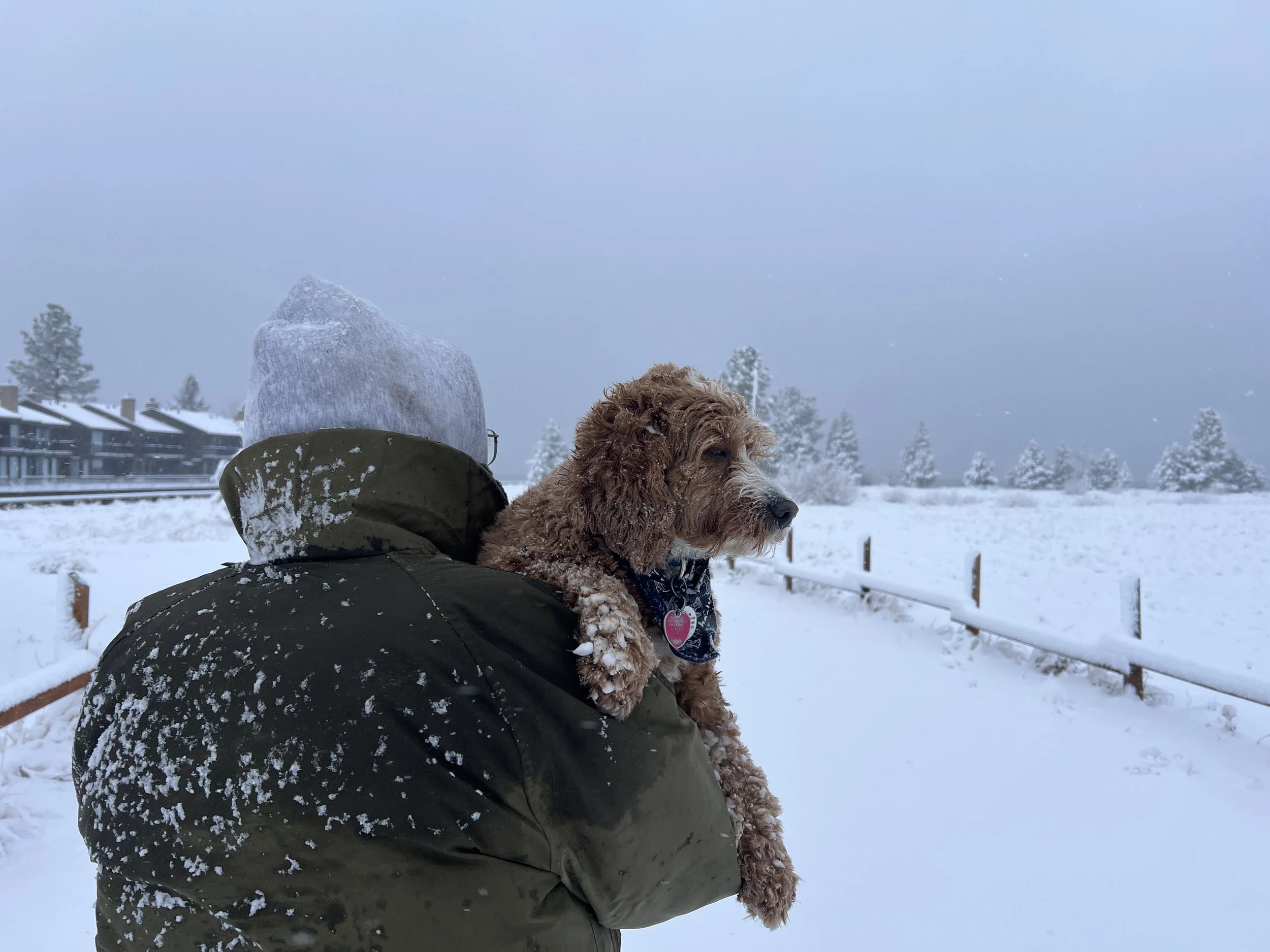The Storm Rolling In