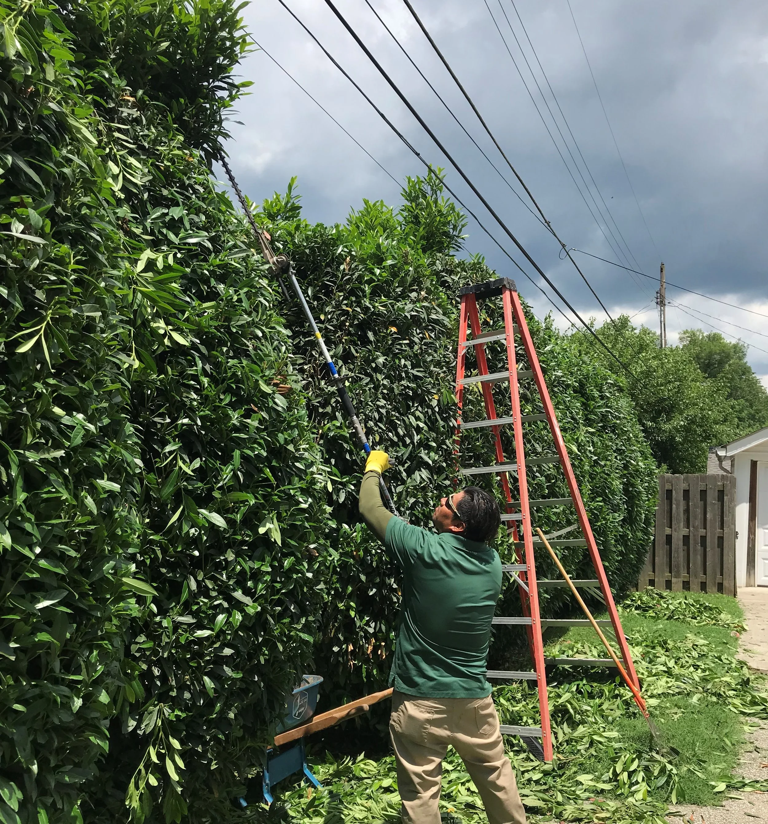 Services — Frank Otte Landscape & Design Group Services — Frank Otte Landscape & Design Group