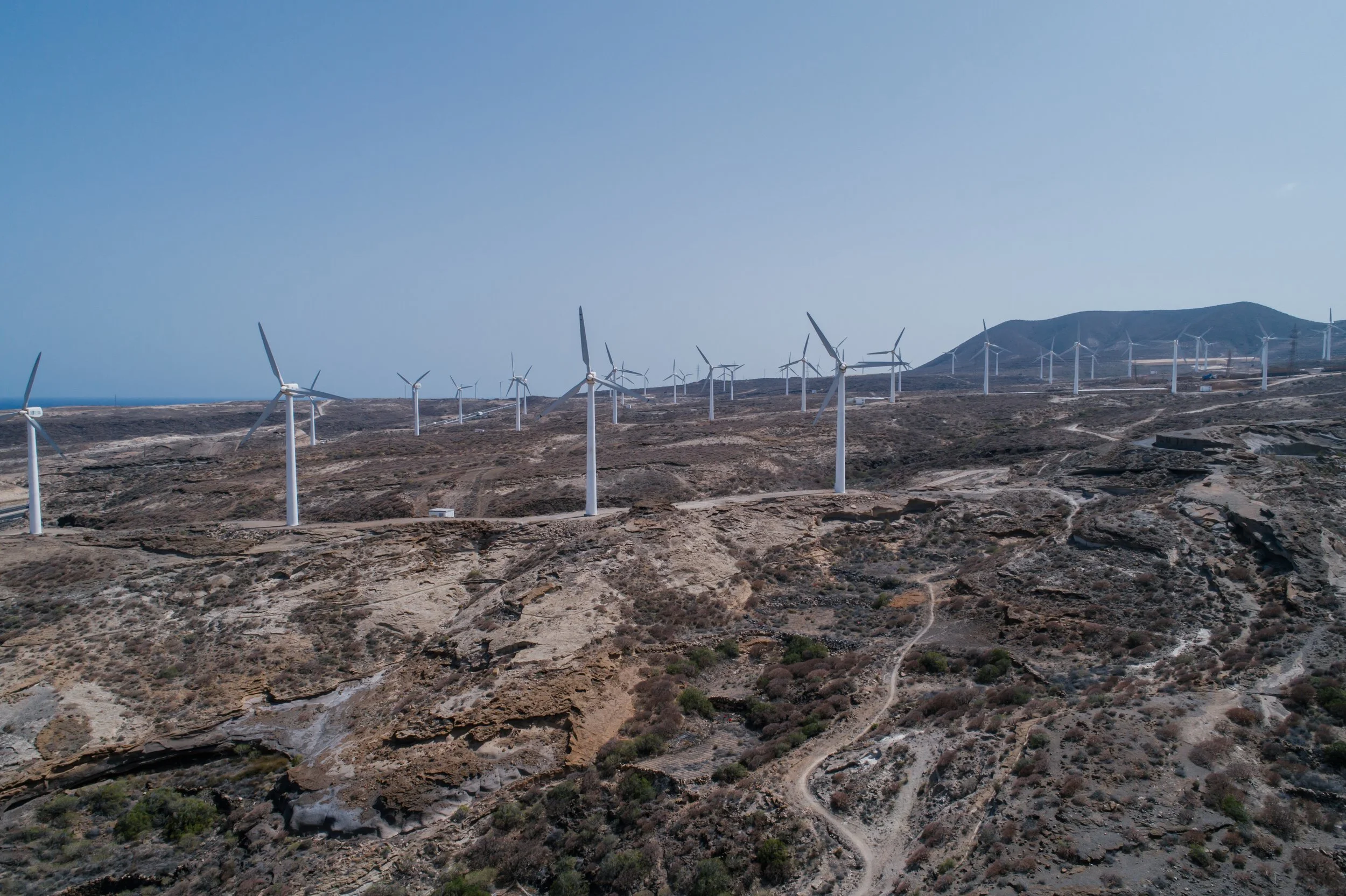 Leadership Principle #16 &nbsp;- Adapting to the Winds of Change