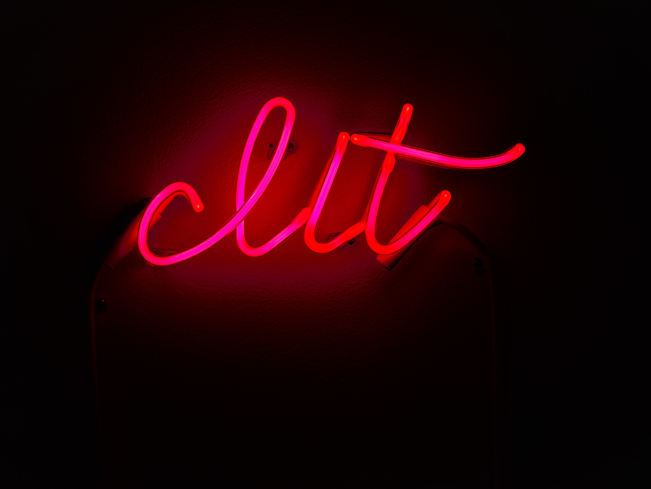  Lit Clit, 2016 neon 5 x 11 x 2 in. (13 x 28 x 5 cm) 
