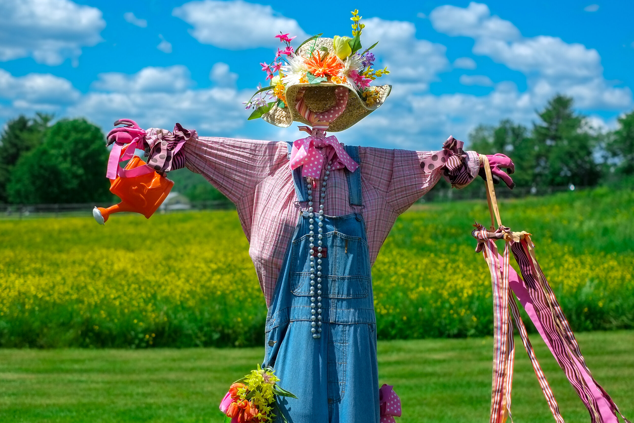 Scarecrow-1.jpg