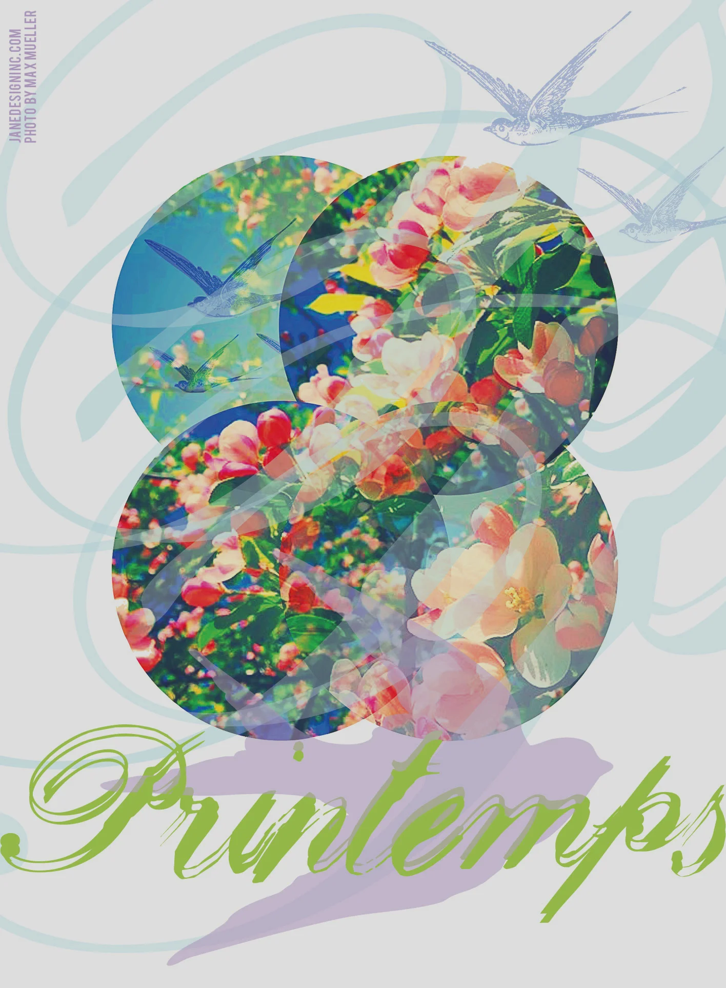 Spring Illustration for The Parsnippety