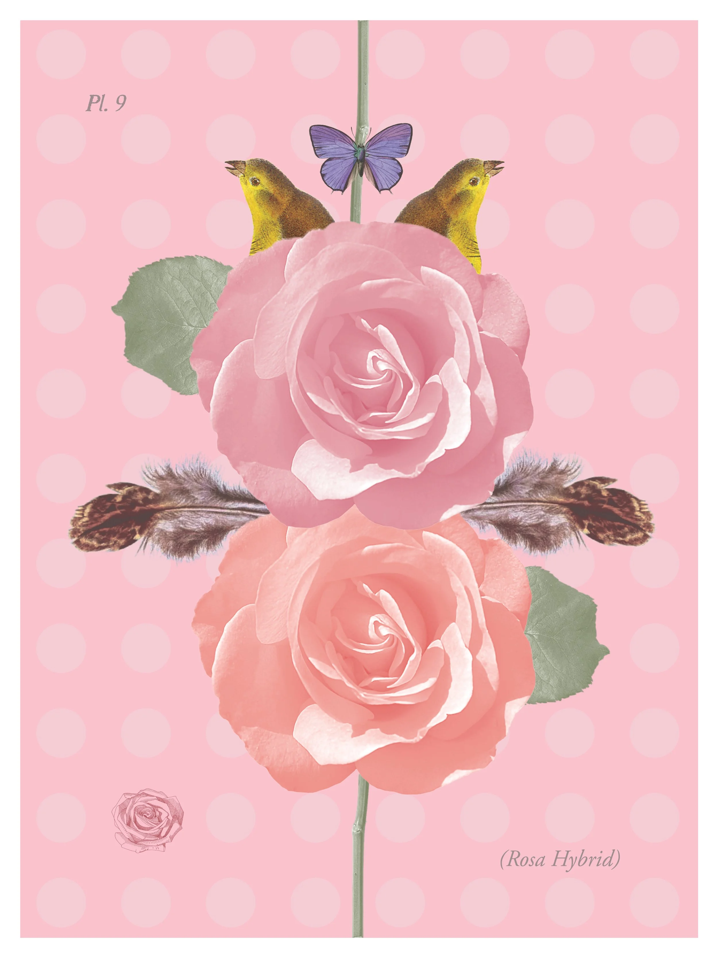 park poster.jpg
