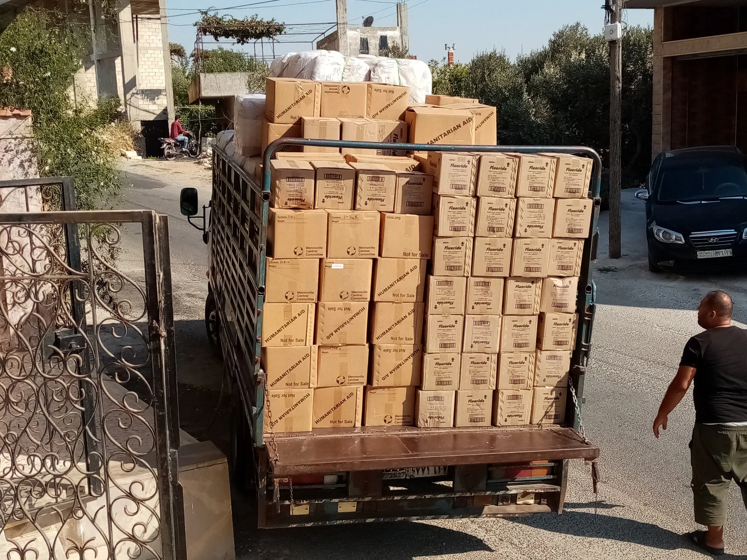 processed_distribution (4).jpg