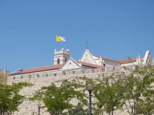 الكنيسة في مواجهة فيروس كورونا