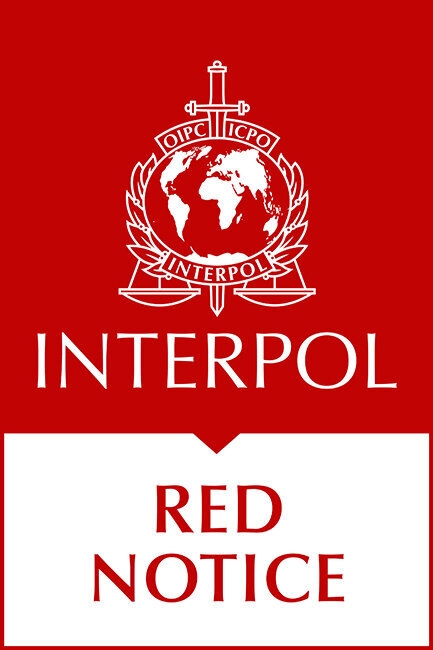 La Interpol emitió Alerta Roja para 3 personas acusadas en el caso de la explosión del puerto de Beirut. ¿Quiénes son?