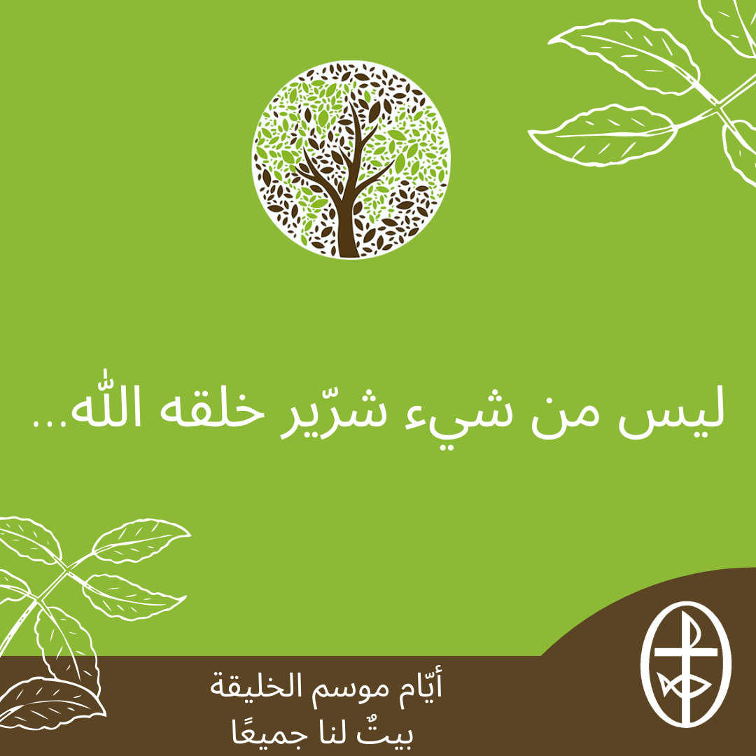 معًا نتكاتف ونصلّي