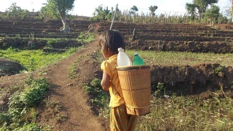 Holy See: Access to safe drinking water basic human right