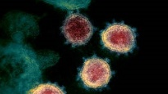 The Middle East Facing the New Coronavirus Variants