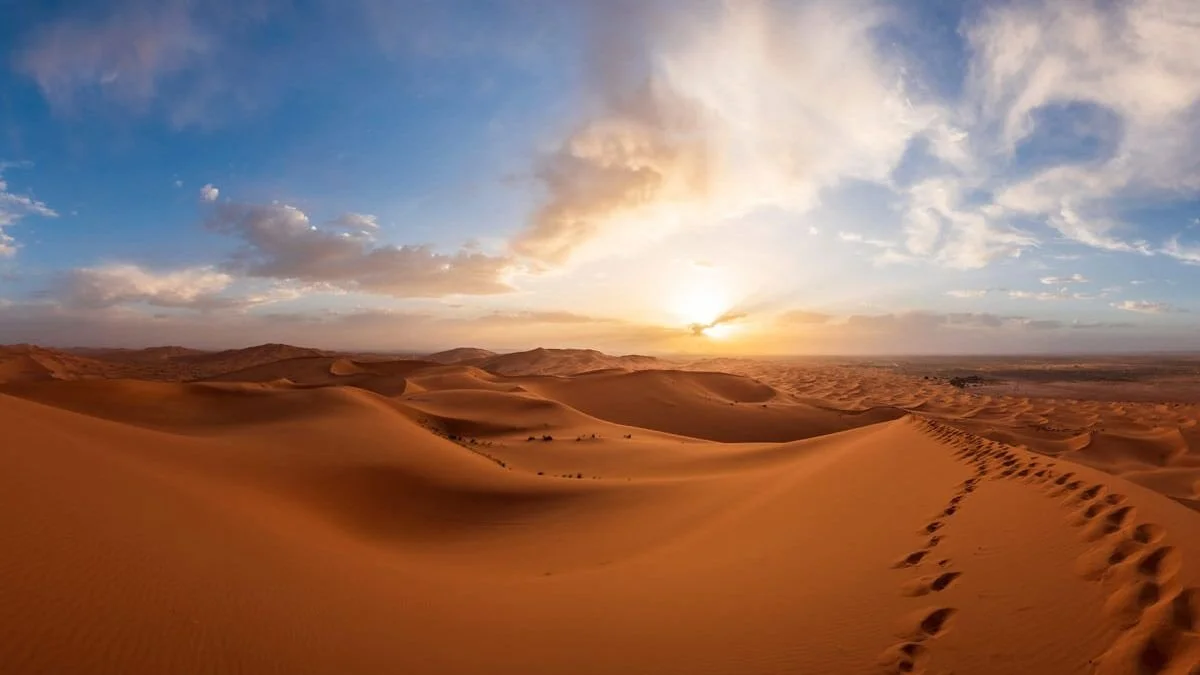 The 40 Days of Lent: Passing from the Desert of Desperation to the Divine Oasis