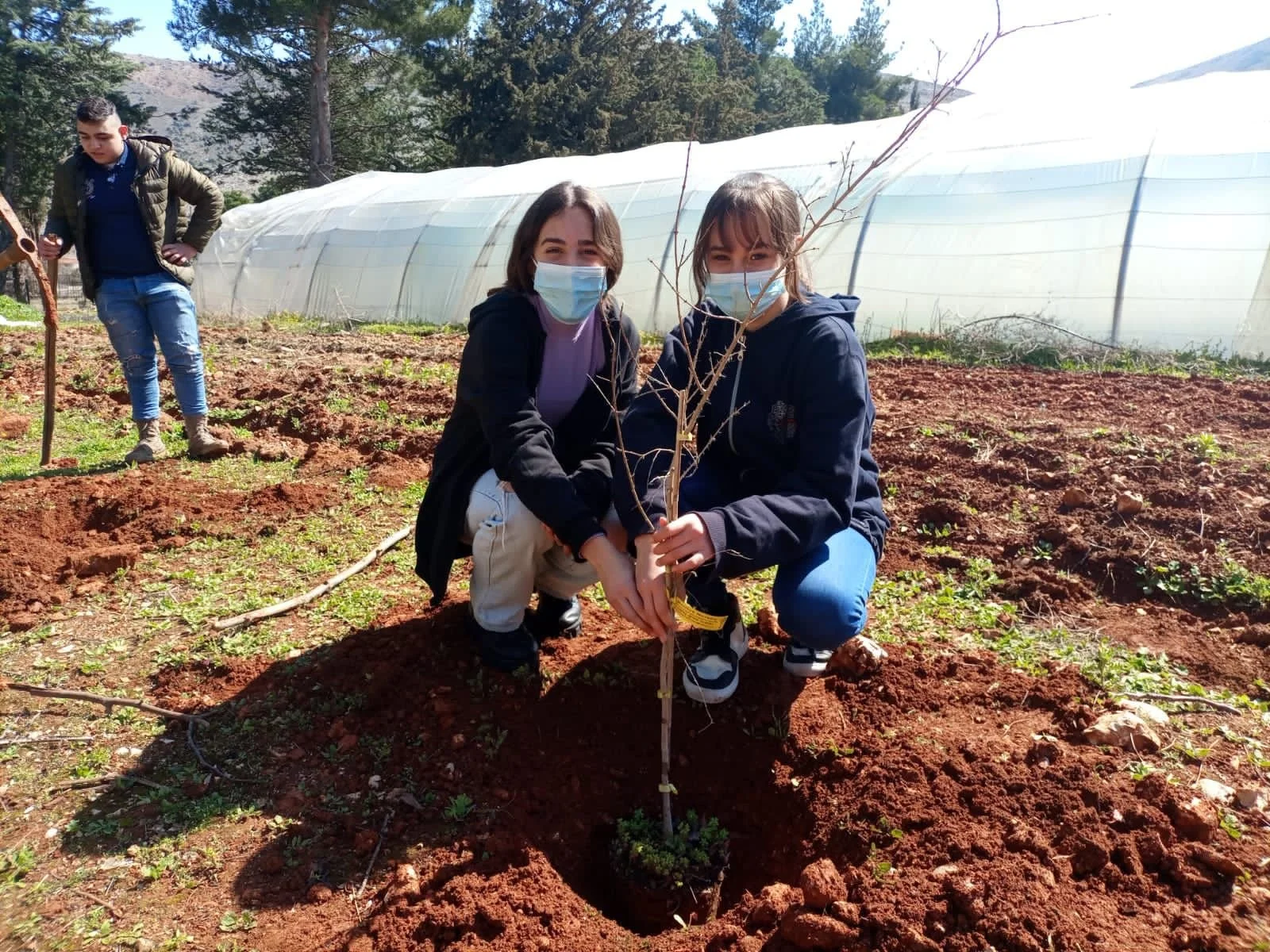 Afforestation Campaign in the Town of Anjar