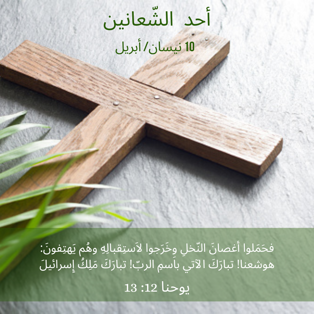 معًا نتكاتف ونصلّي - أحد الشّعانين