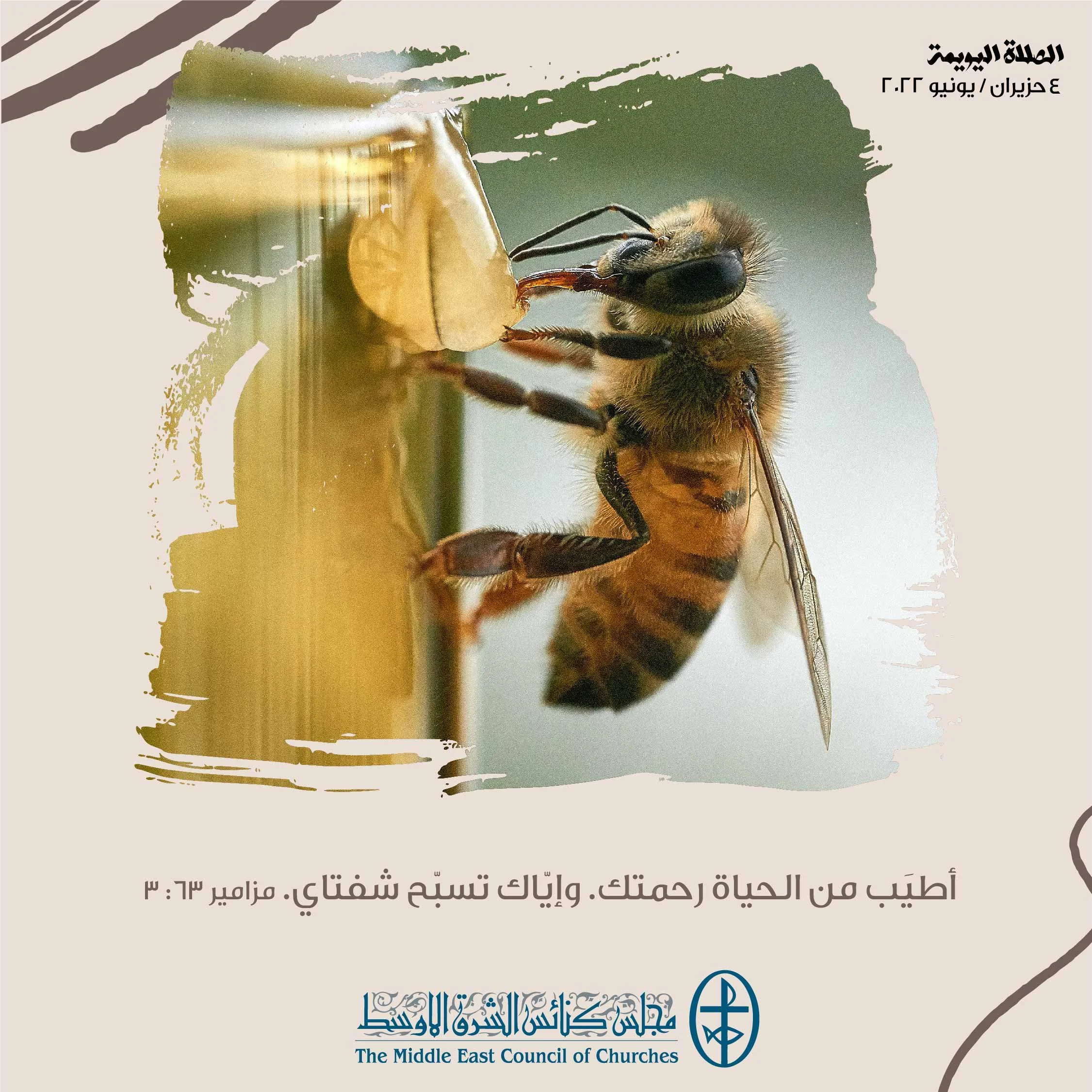 معًا نتكاتف ونصلّي