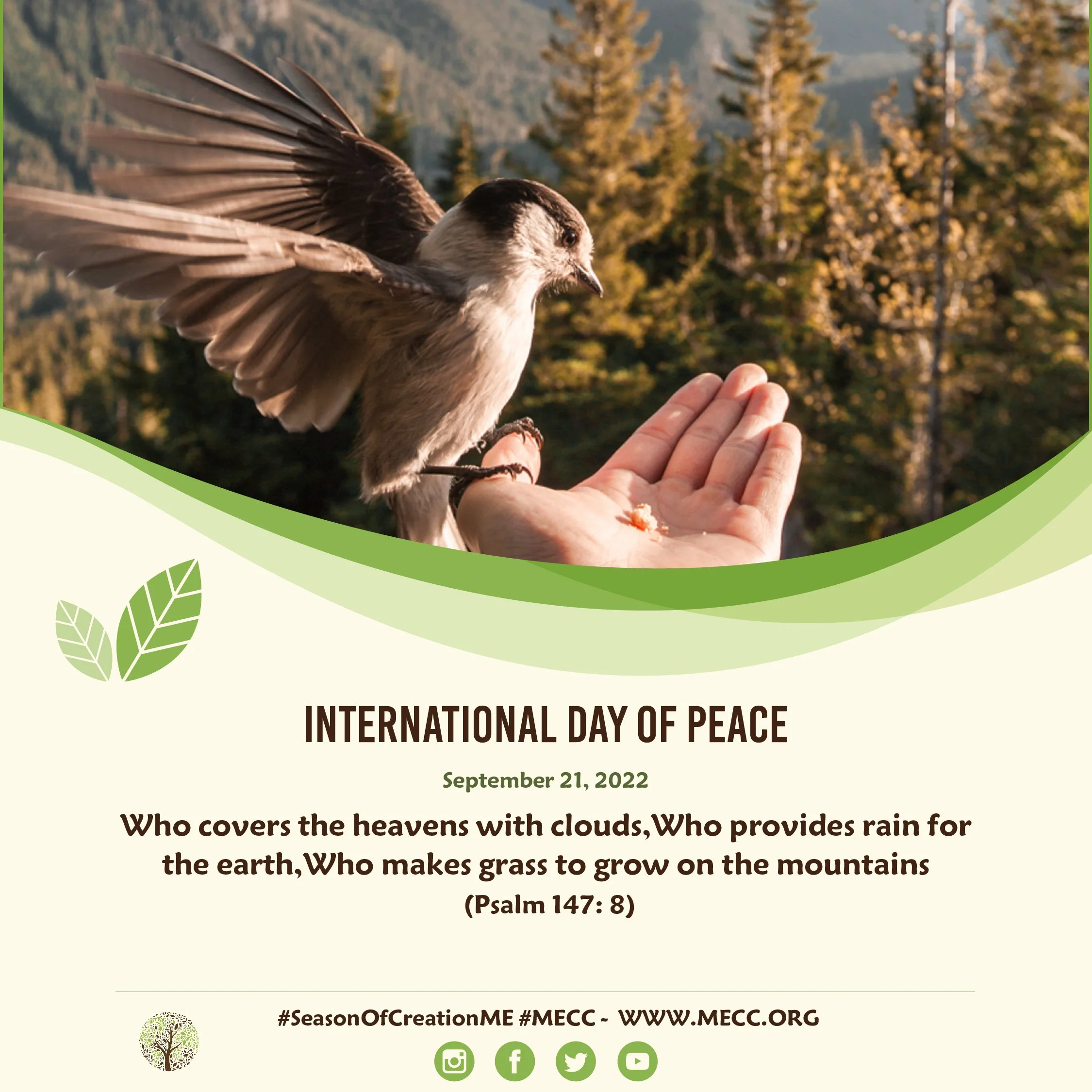 International Day of Peace - September 21
