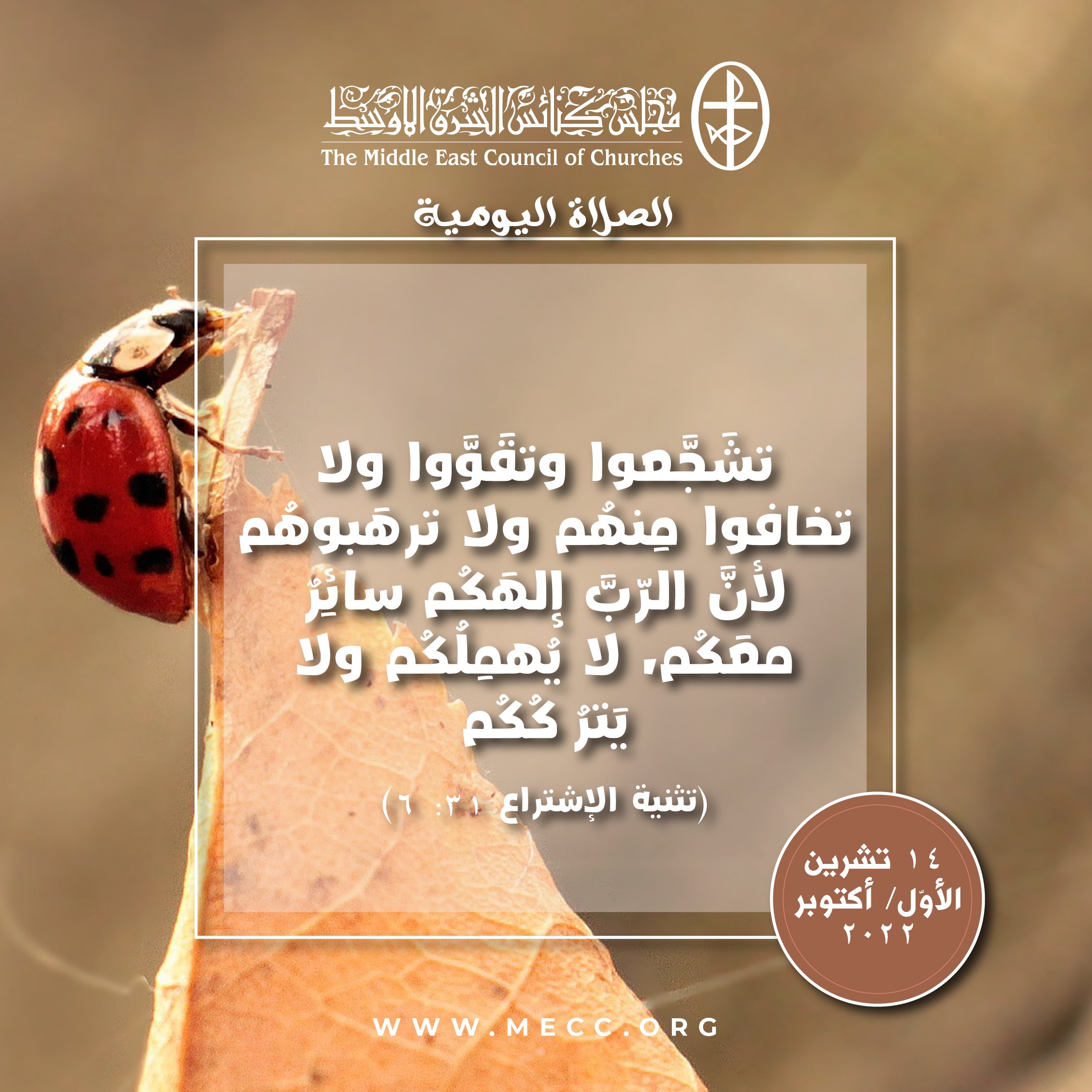 معًا نتكاتف ونصلّي