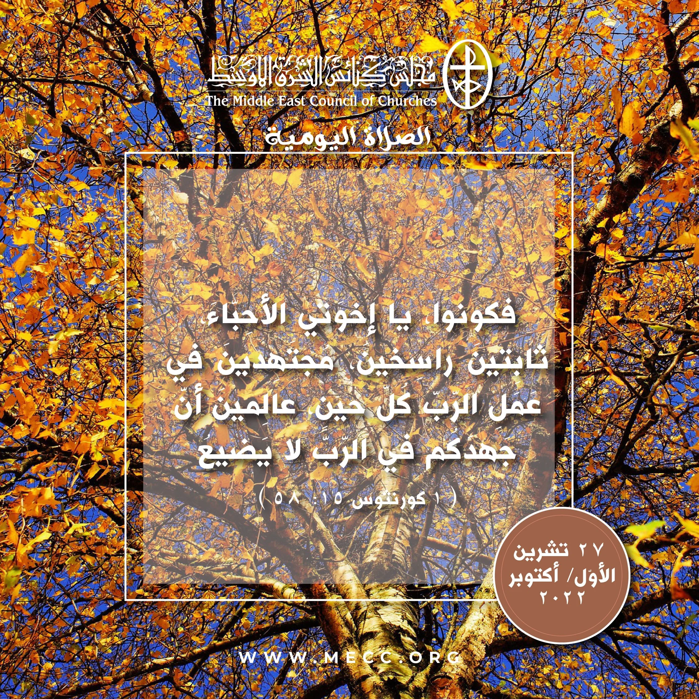 معًا نتكاتف ونصلّي