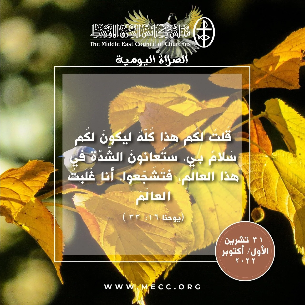 معًا نتكاتف ونصلّي