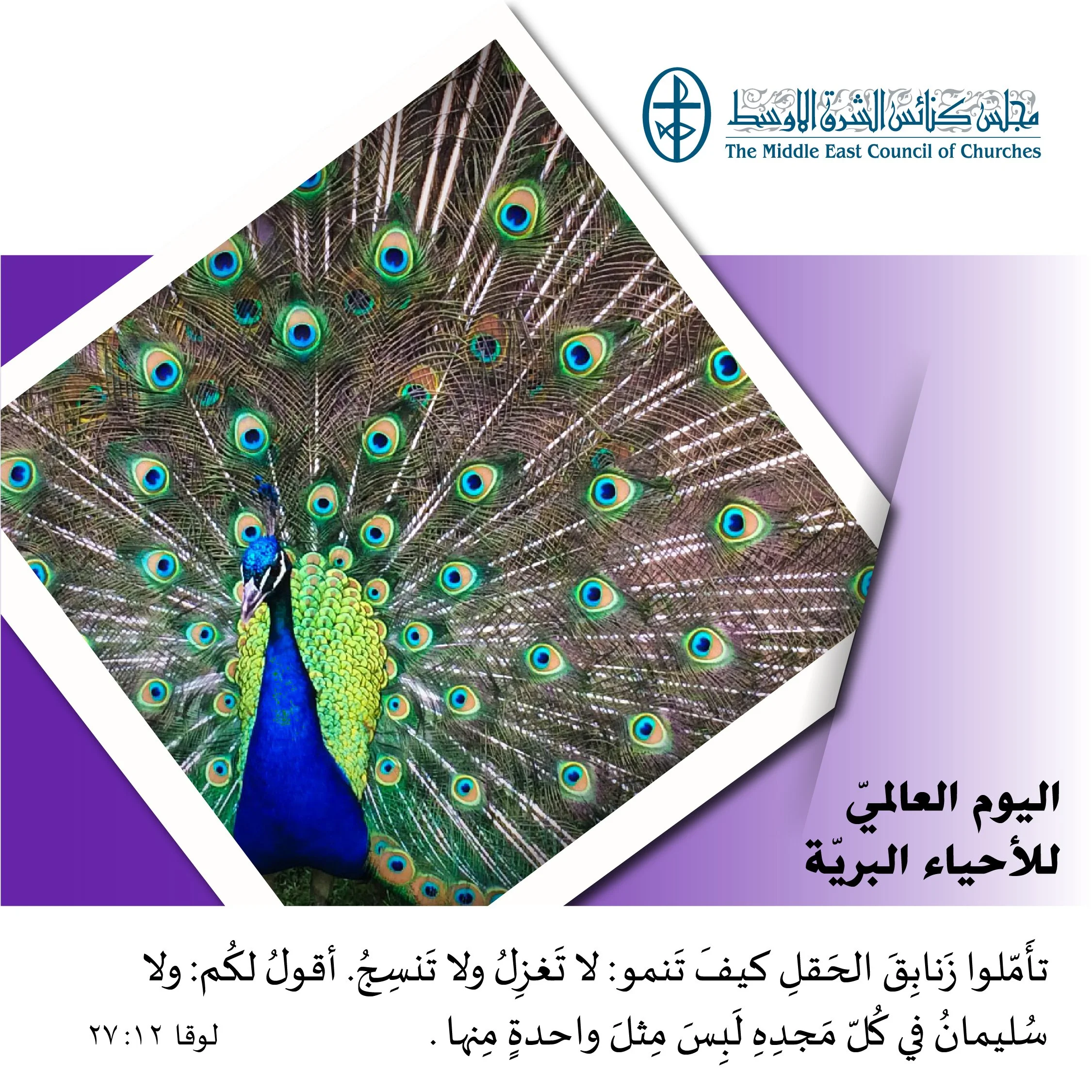 متحدون في الصلاة - اليوم العالميّ للأحياء البريّة