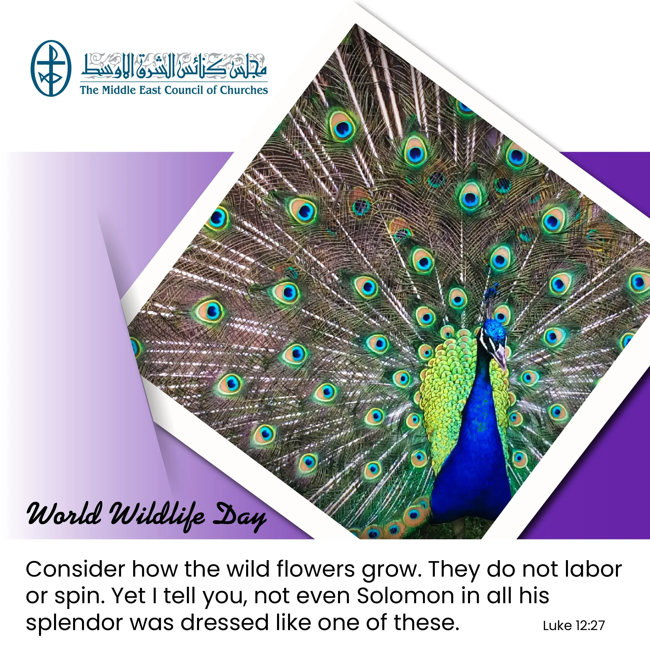 United In Prayer - World Wildlife Day