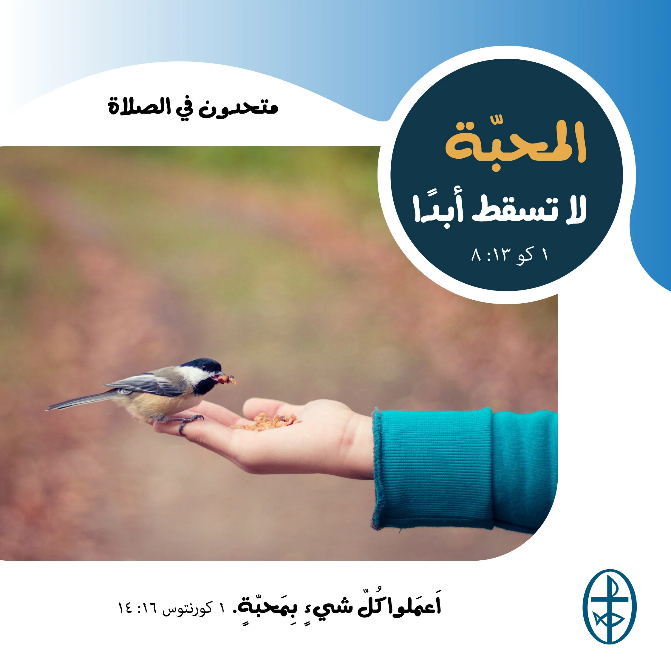 متحدون في الصلاة