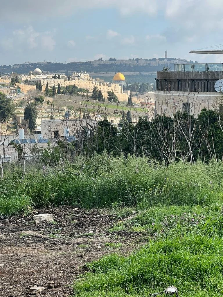 The Greek Orthodox Patriarchate of Jerusalem Regains Strategic Lands In Jerusalem, After Efforts That Lasted More Than A Decade And A Half