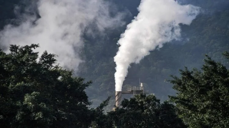 Laudato Sì Movement's Call to Action at COP28