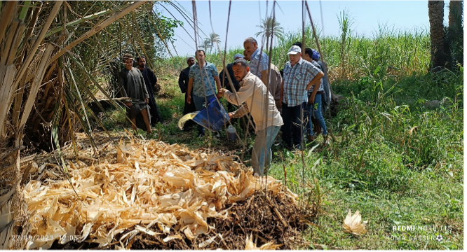 COP28 Blog: Strengthening community resilience in Egypt