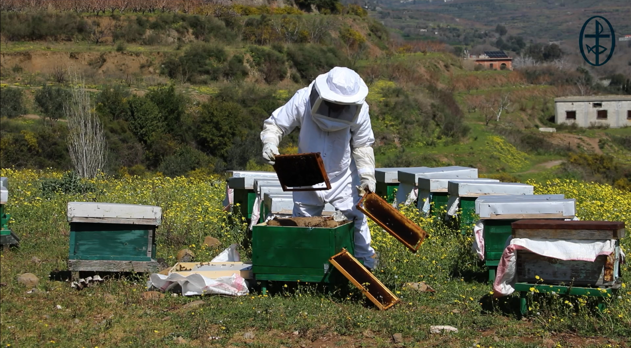 Video - MECC Helps 32 People Establish Their Small Businesses in Rural Homs&nbsp;