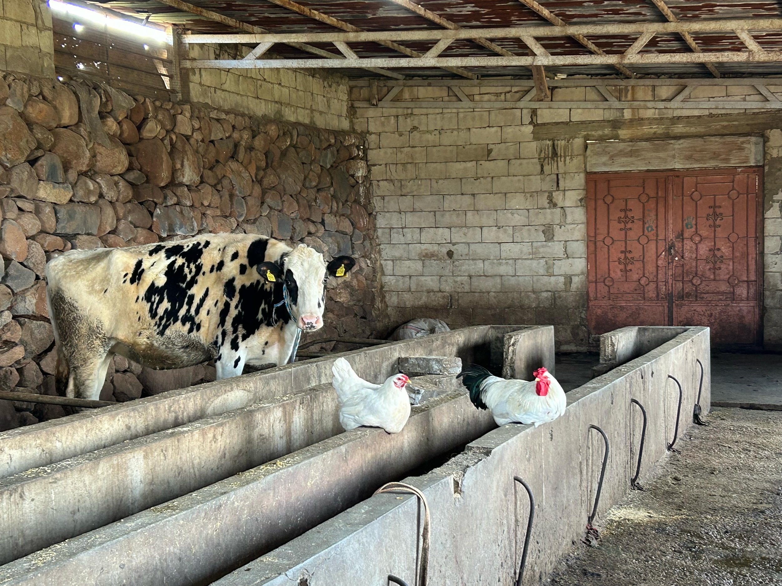 WhatsApp Image 2024-02-23 at 10.38.36 AM.jpeg