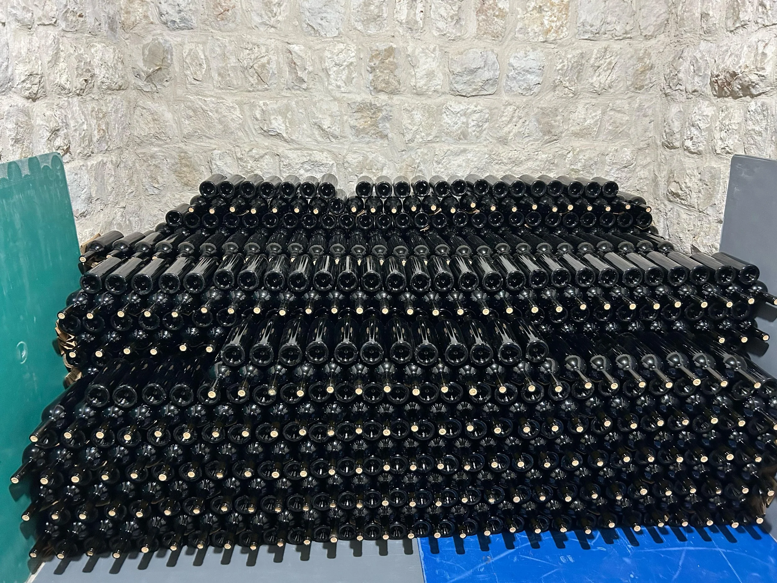 WhatsApp Image 2024-02-23 at 10.43.50 AM (1).jpeg