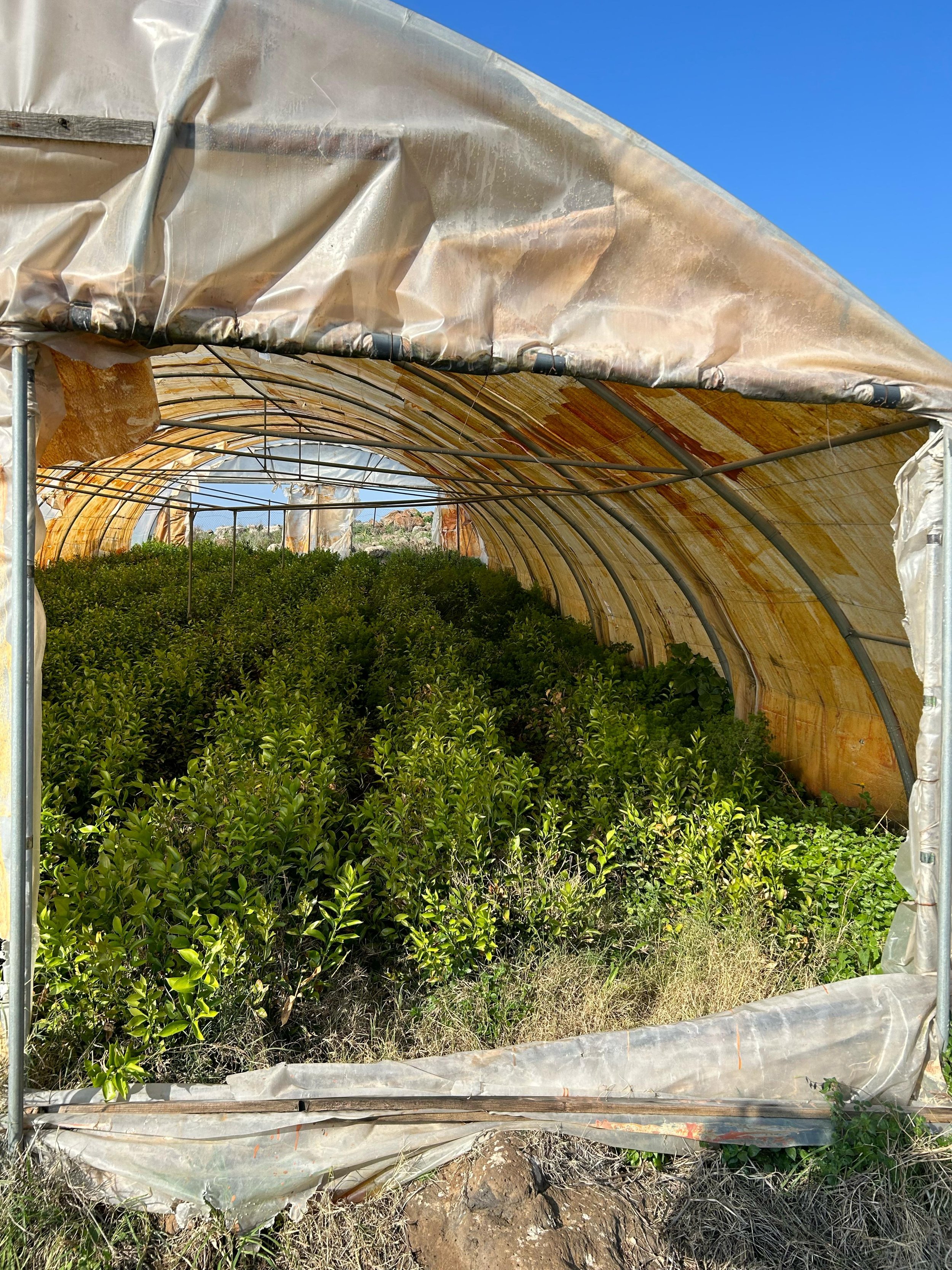 WhatsApp Image 2024-02-23 at 10.43.53 AM (1).jpeg