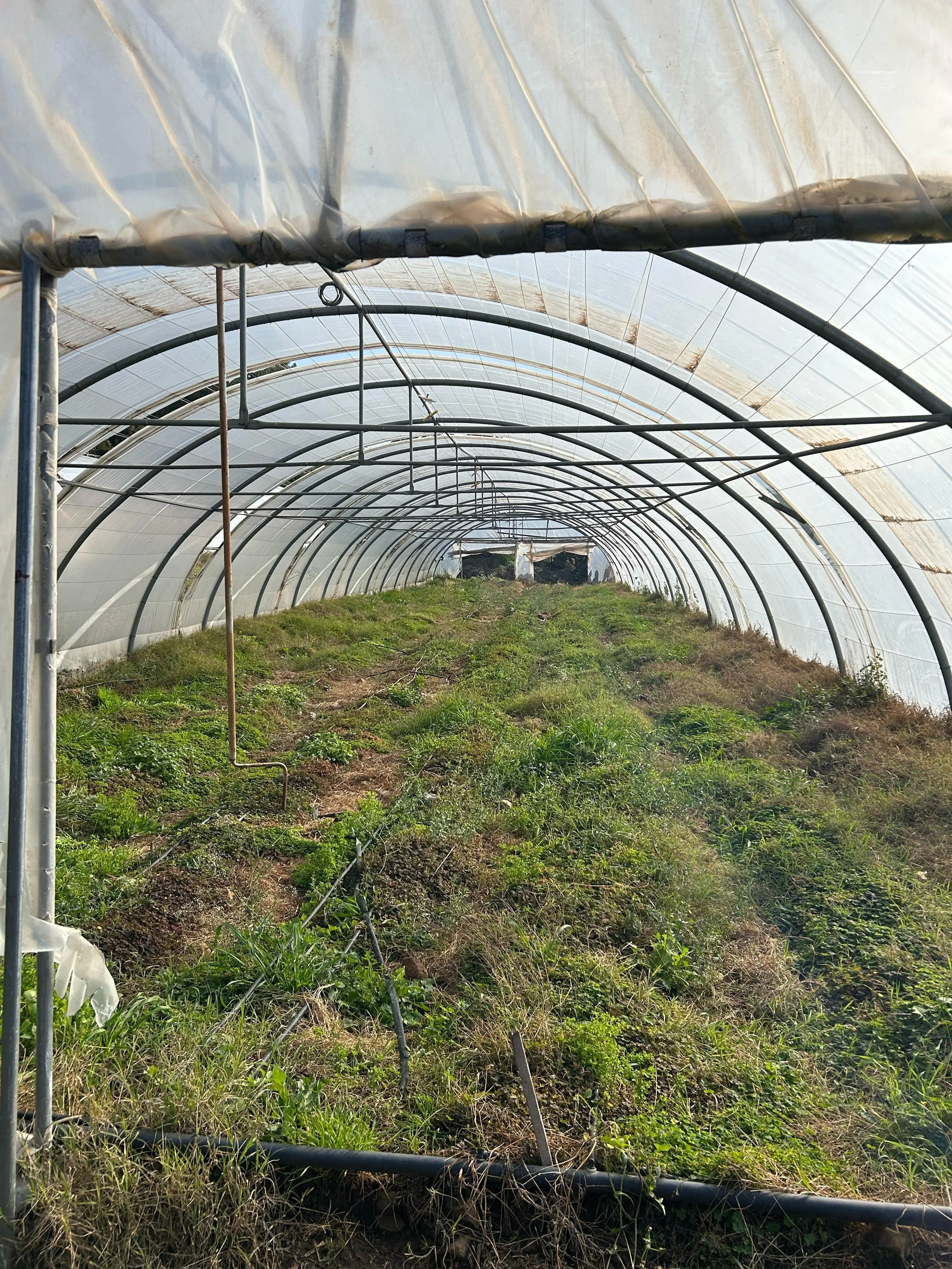 WhatsApp Image 2024-02-23 at 10.43.54 AM (1).jpeg