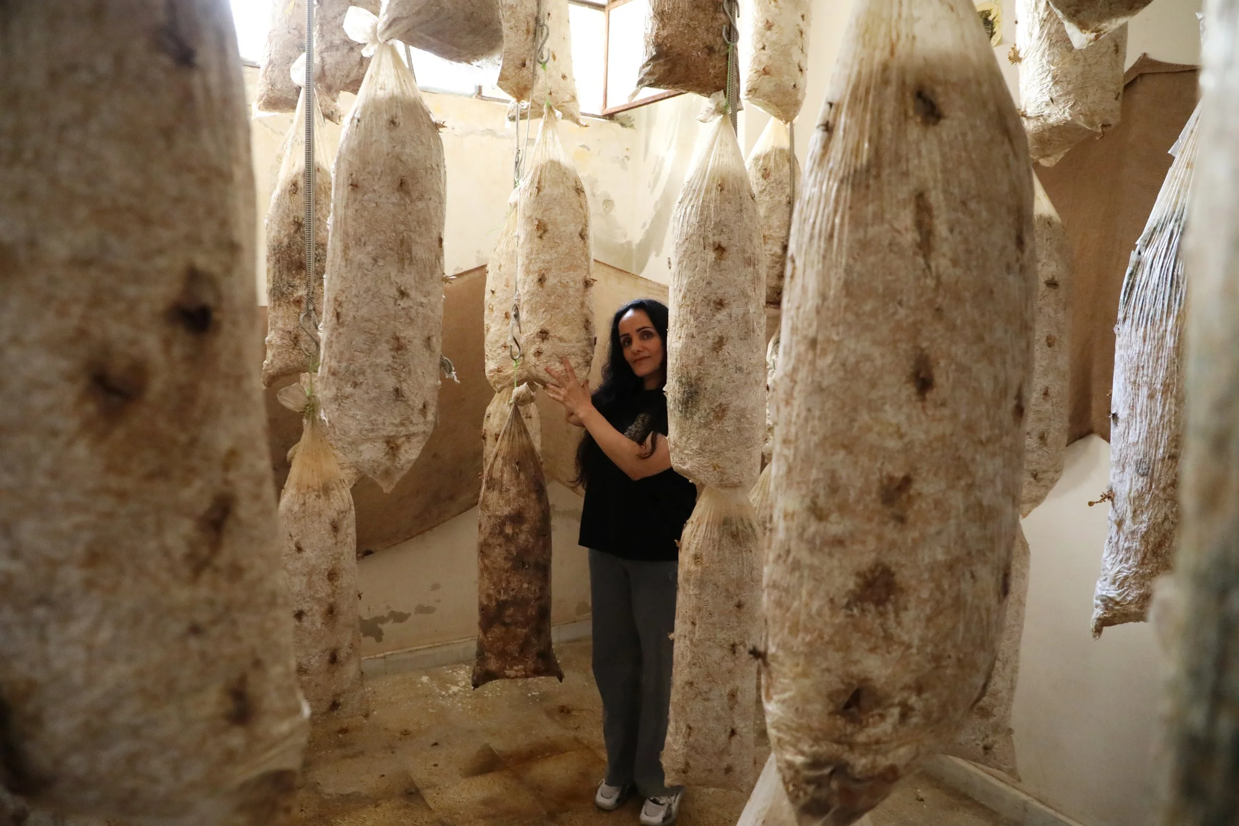 Lina Fadel Al Kraidi in her oyster mushroom farm - MECC- Jaramana rural damascus.JPG