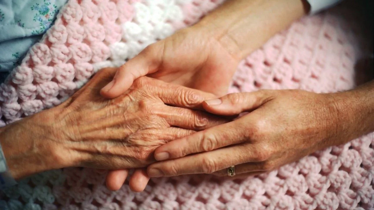 قداسة البابا لاوُن الرابع عشر في اليوم من أجل الحياة: يمكن للألم أن يتحوّل إلى خبرة لحضور الربّ