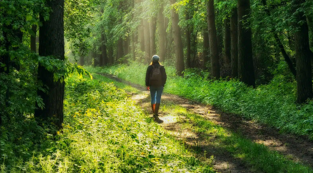 Peace with Creation: An Urgent Necessity and a Human Duty