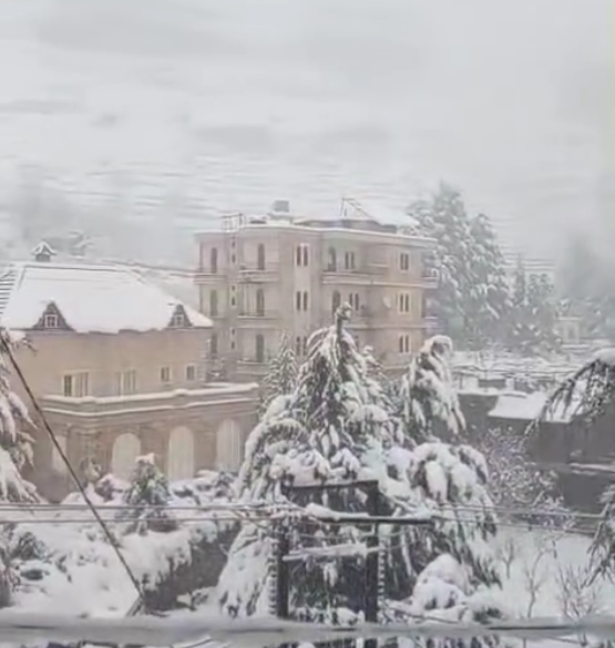 Video - “Cleanse me with hyssop, and I will be clean;&nbsp;wash me, and I will be whiter than snow” (Psalm 51: 7)