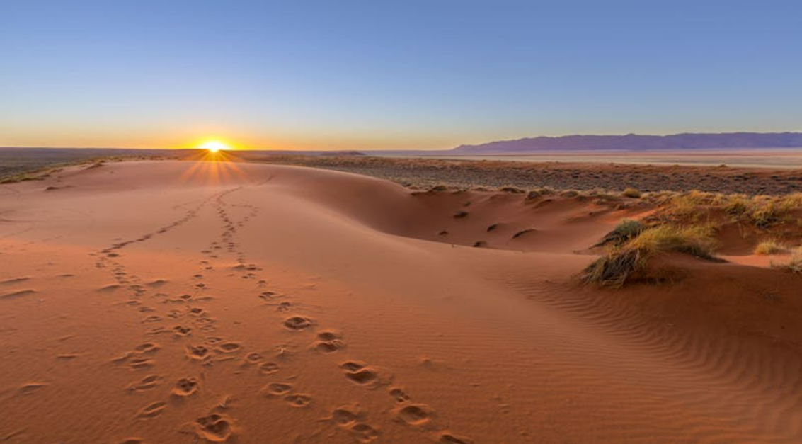 The 40 Days of Lent: Passing from the Desert of Desperation to the Divine Oasis