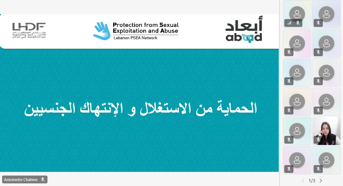 The Middle East Council of Churches Participates in an Online Training on Protection from Sexual Exploitation and Abuse, Organized by ABAAD