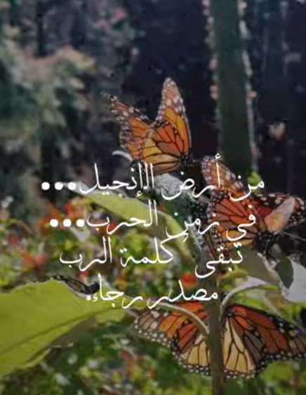 فيديو - نور الرجاء (7)