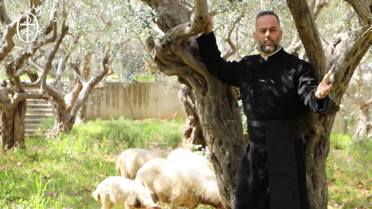 Video - A Special Episode Entitled