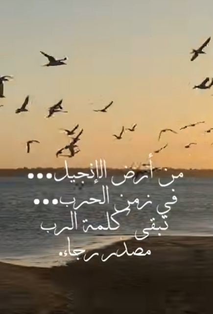 Video - Light of Hope (13)