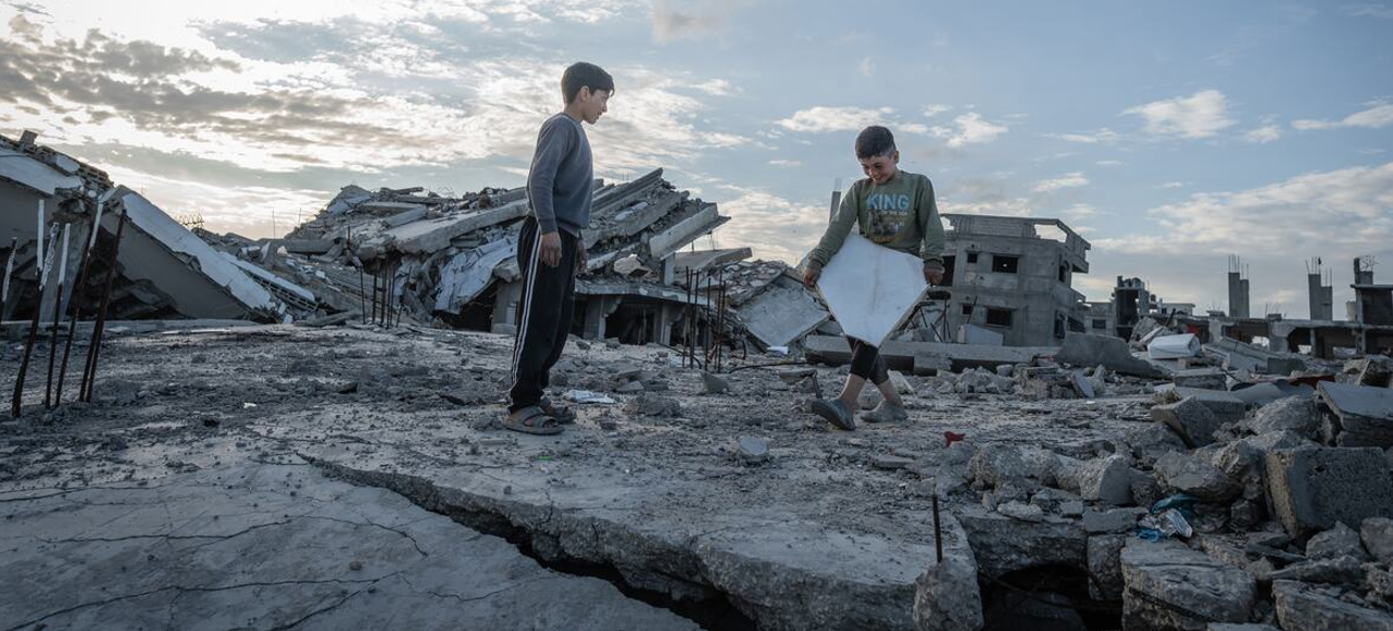 Palestine Observatory - Report: Friday 15 May 2026