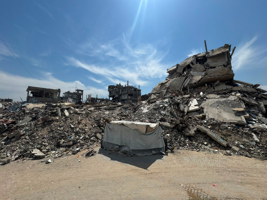 Palestine Observatory - Report: Friday 12 June 2026